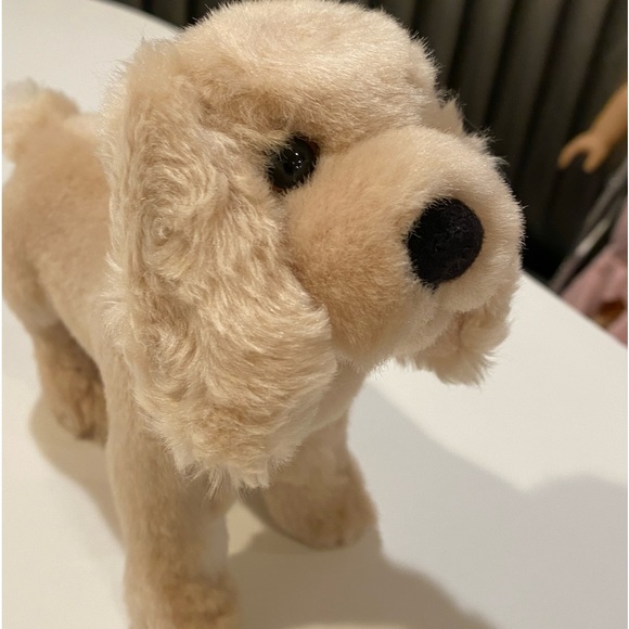 American Girl Doll, crutches and pet dog! Beautiful gift set for the holidays ! - Picture 3 of 6